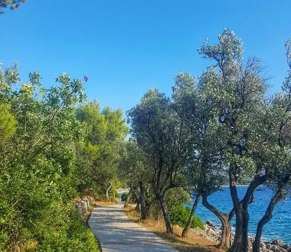 Apartman Stara Gavza 155 Cres